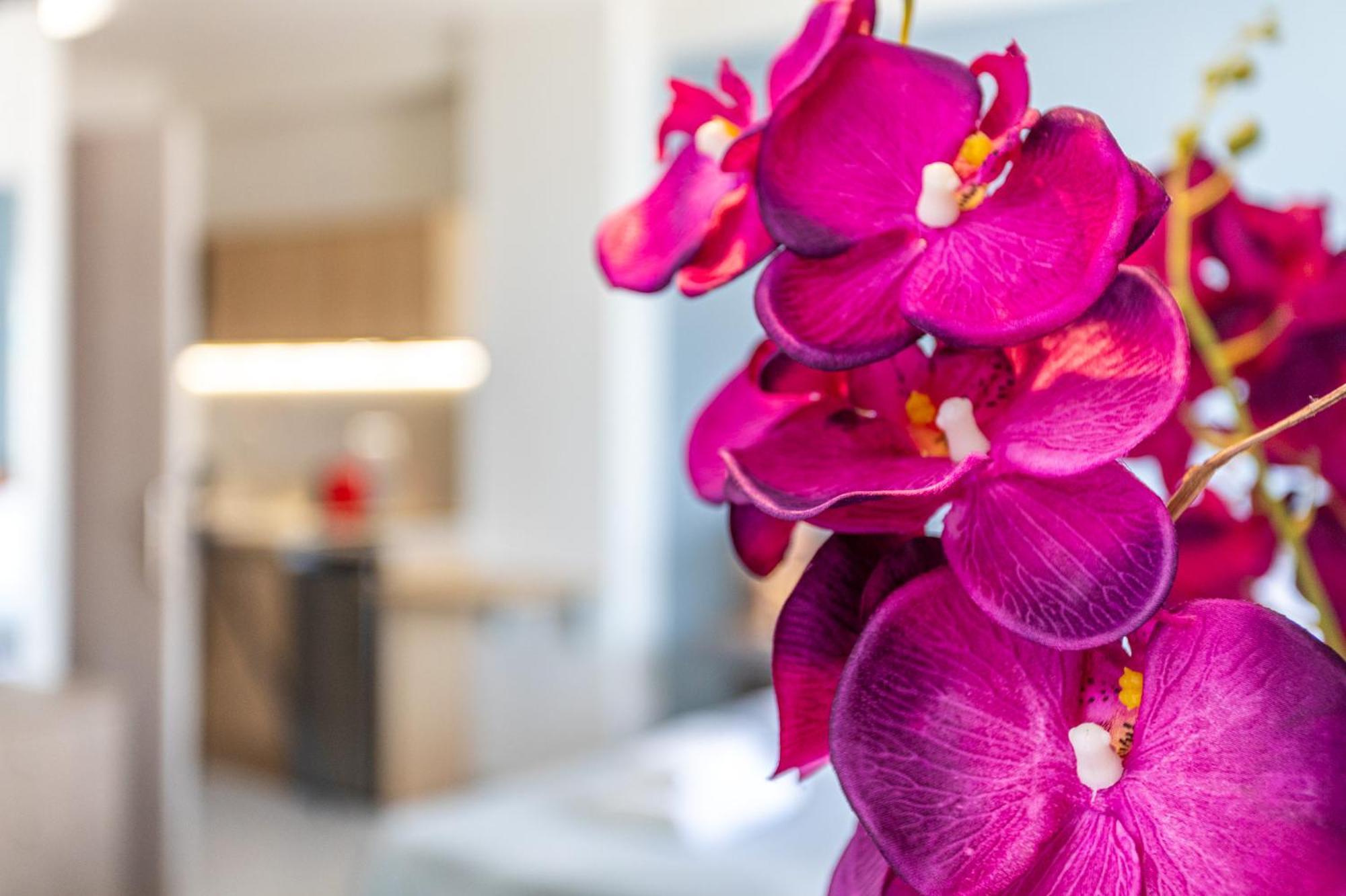 Marina Lejlighedshotel Kardhamili Eksteriør billede
